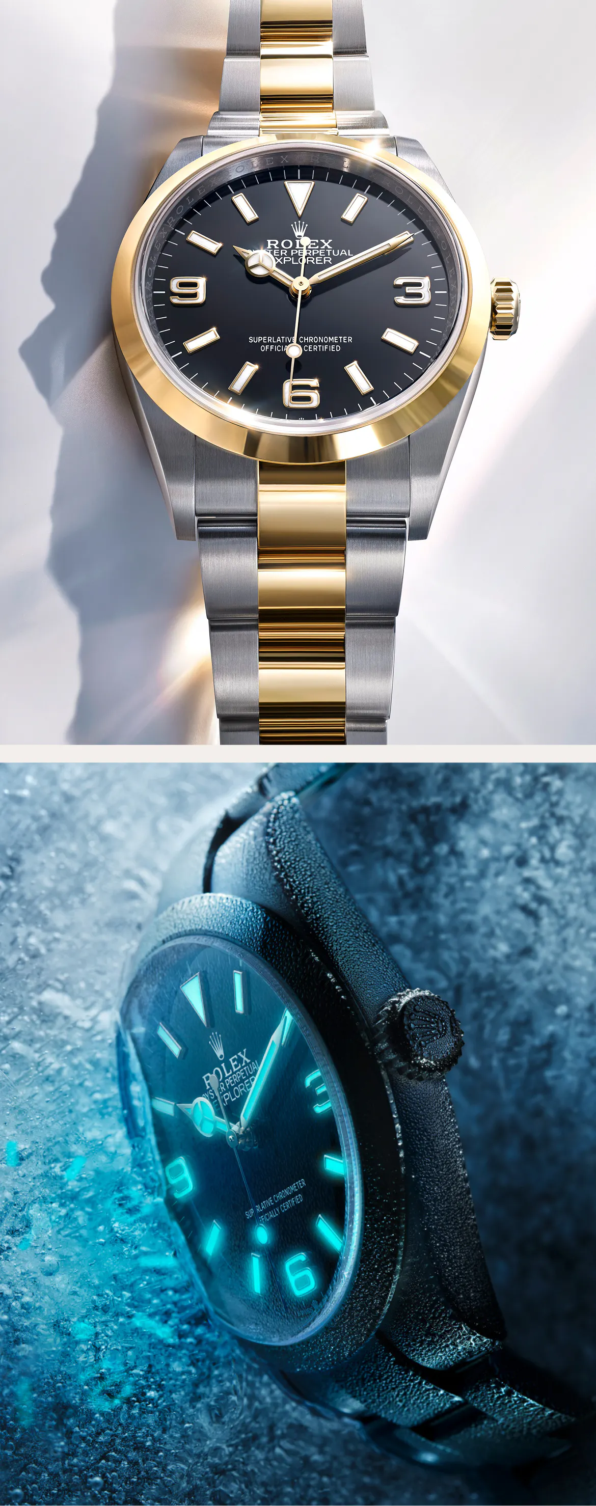 Rolex Explorer Watches | The 1916 Company